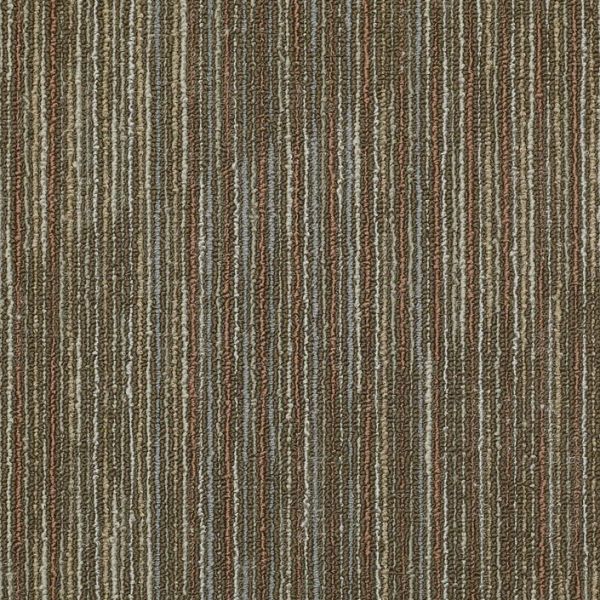 PHILADELPHIA SIMPLE MECHANICS SHIFTING GEARS INCLINE Collection