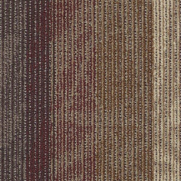 Philadelphia Interference Static Echo Collection