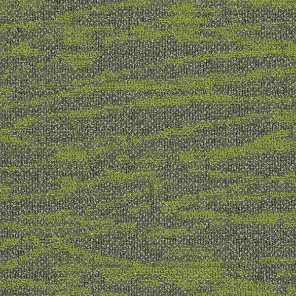 Philadelphia Modern Terrain Tide Water Taiga Collection