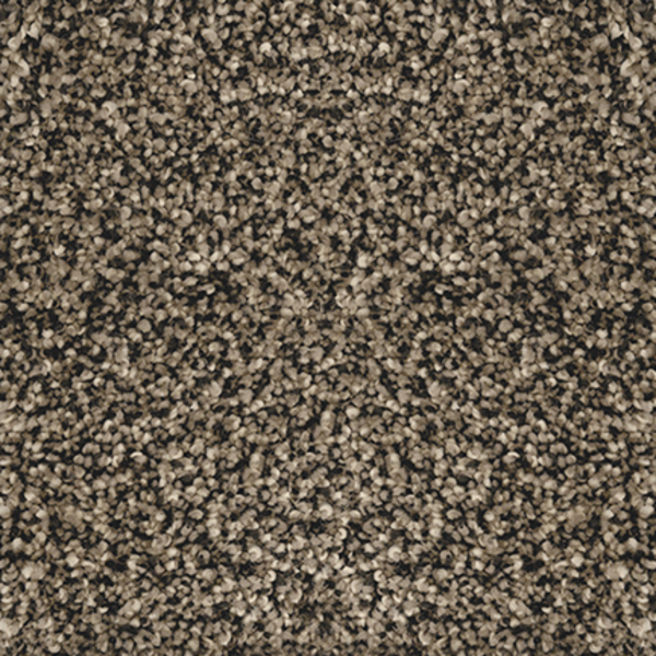 Revolution Mills Venice Bark Collection