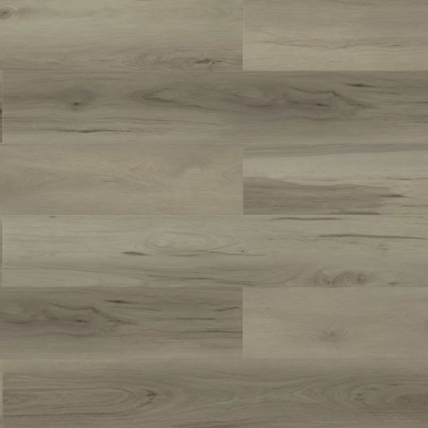 Paradigm Performer Plus Swan Collection
