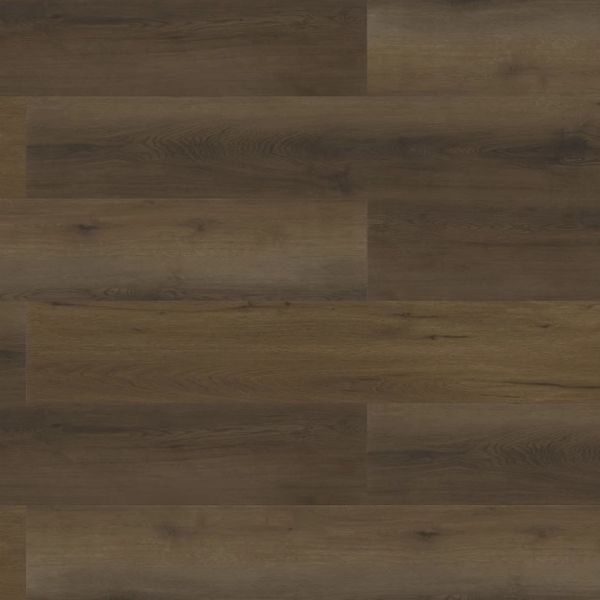 PARADIGM PERFORMER PLUS QUAIL Collection