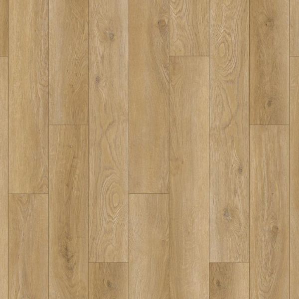 PERGO EXTREME CROWNED Collection