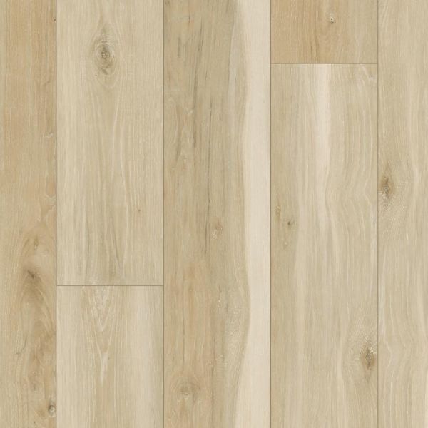 PERGO EXTREME DIVINE Collection