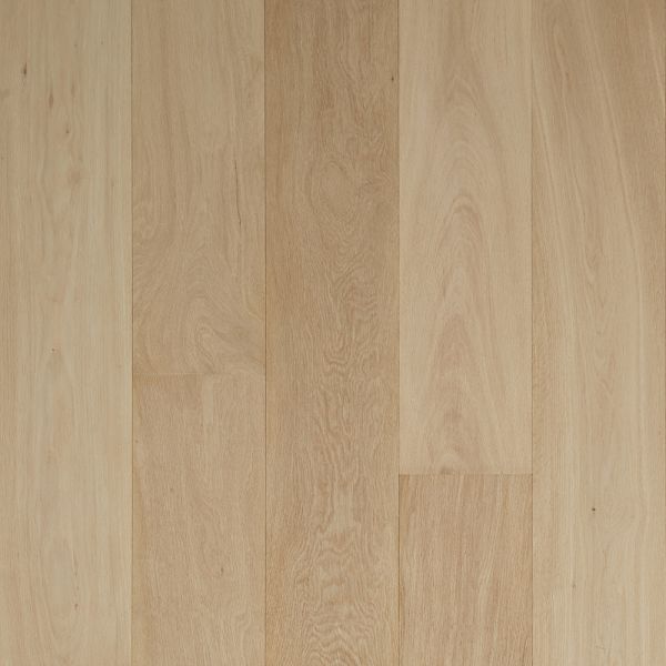 Compass Materials Andromeda Collection Ethereal Collection
