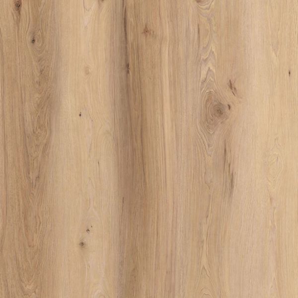 Lions Floor State Fair Homewood Waltz Collection