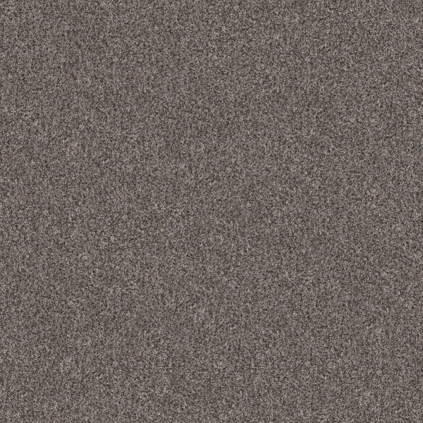 Shaw Pet Perfect Yes You Can II Marble Collection