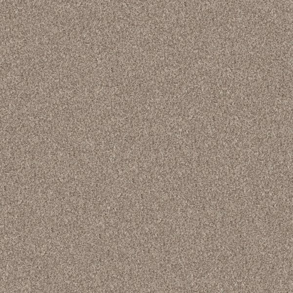 Shaw Pet Perfect Yes You Can II Natural Collection