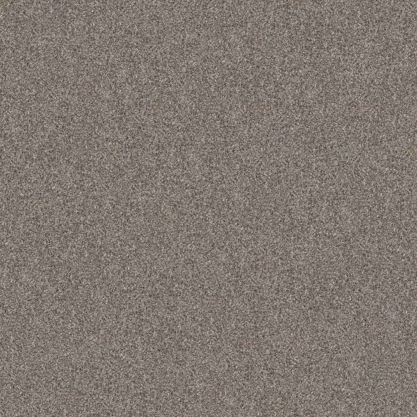 Shaw Pet Perfect Yes You Can II Chic Greige Collection