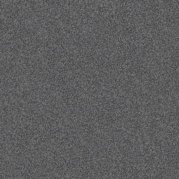 Shaw Pet Perfect Yes You Can II Refined Collection