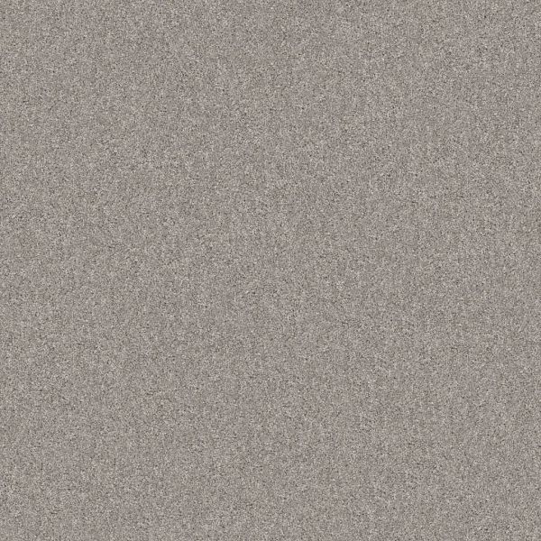 Shaw Pet Perfect Yes You Can II Rock Crystal Collection