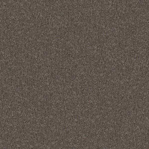 Shaw Pet Perfect Yes You Can II Cafe Noir Collection