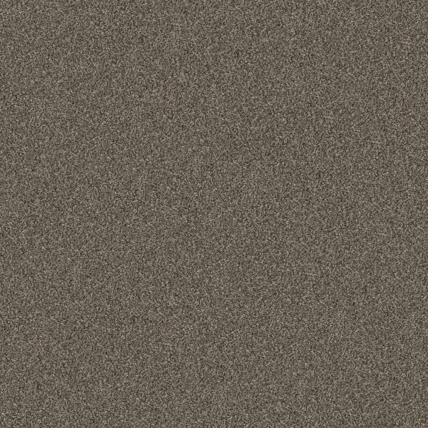 Shaw Pet Perfect Yes You Can II Urban Rustic Collection