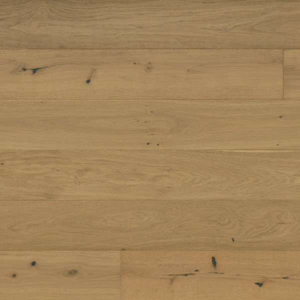 Reward Ibiza Euro Oak Trinidad Collection