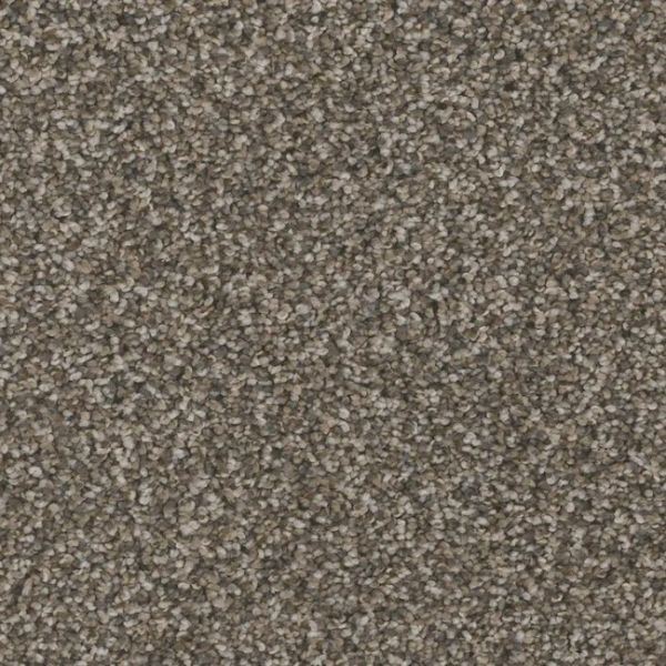 PHENIX BARI TRADITIONAL Collection