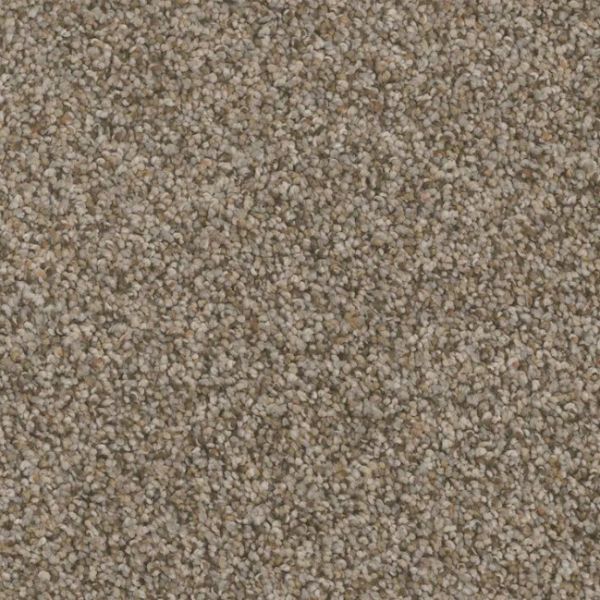 PHENIX BARI AMPHITHEATRE Collection