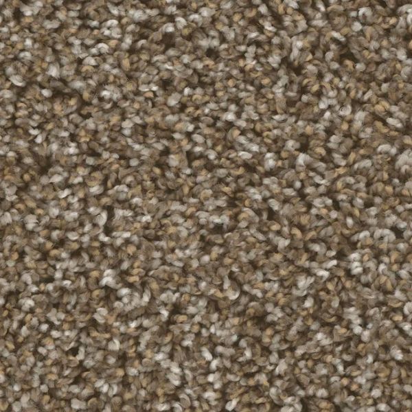 PHENIX BODEGA BAY TRAILHEAD Collection