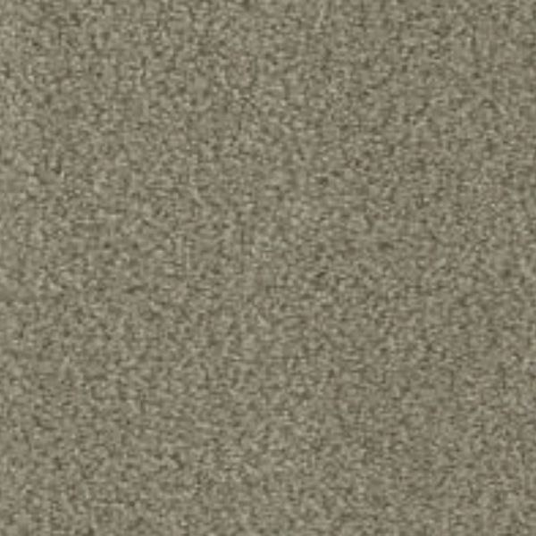 Phenix In The Details Distinct Collection