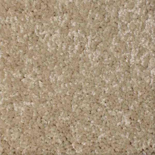 PHENIX FIRST LIGHT MEASUREMENT Collection