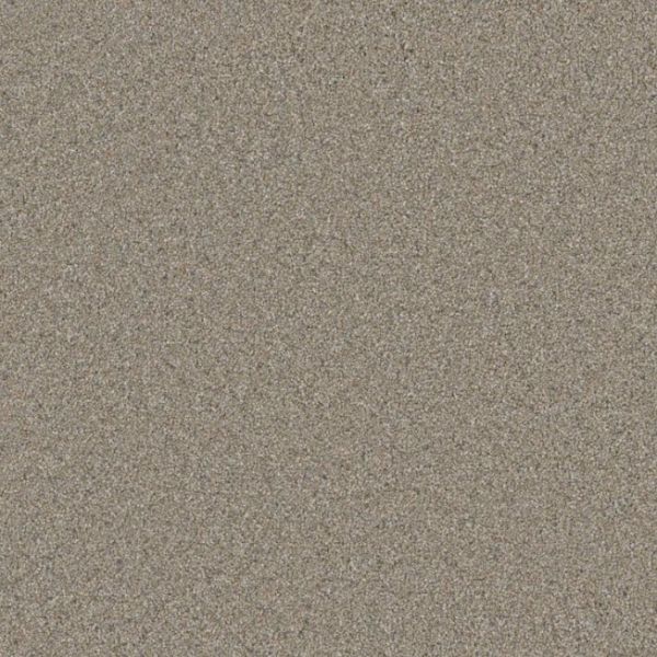 PHENIX MERINO PASHMINA Collection