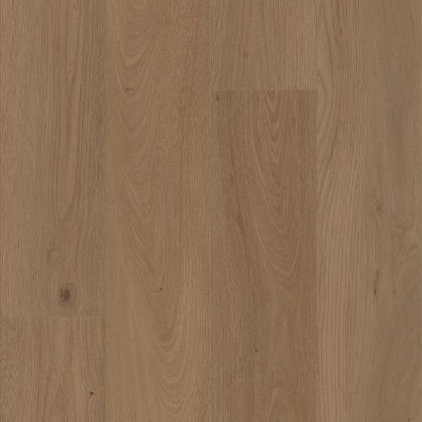 COREtec PRO SAN MARINO ELM Collection