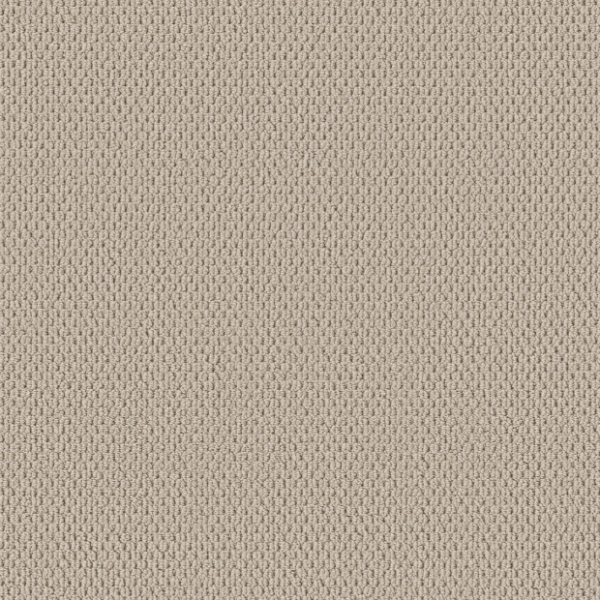 Shaw Floors Perspective Path Bisque Collection