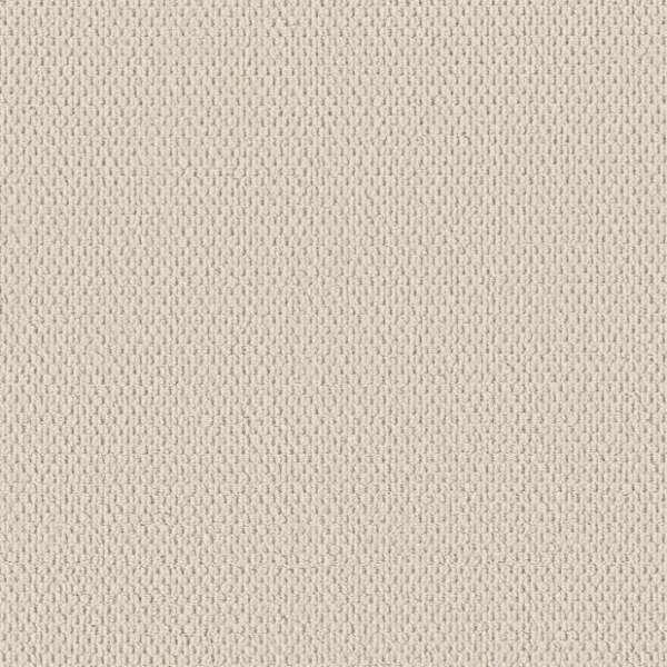 Shaw Floors Perspective Path Warm Light Collection