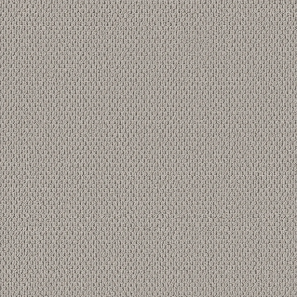Shaw Floors Perspective Path Quest Collection