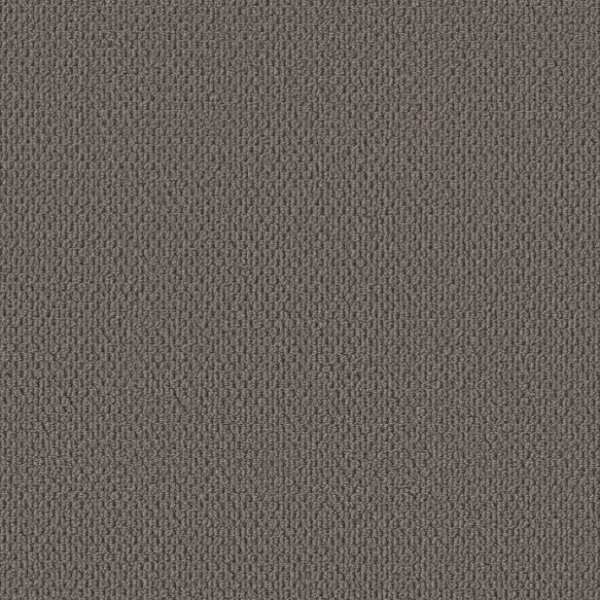 Shaw Floors Perspective Path Darkroom Collection
