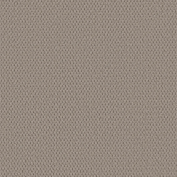 Shaw Floors Perspective Path Stonehaven Collection