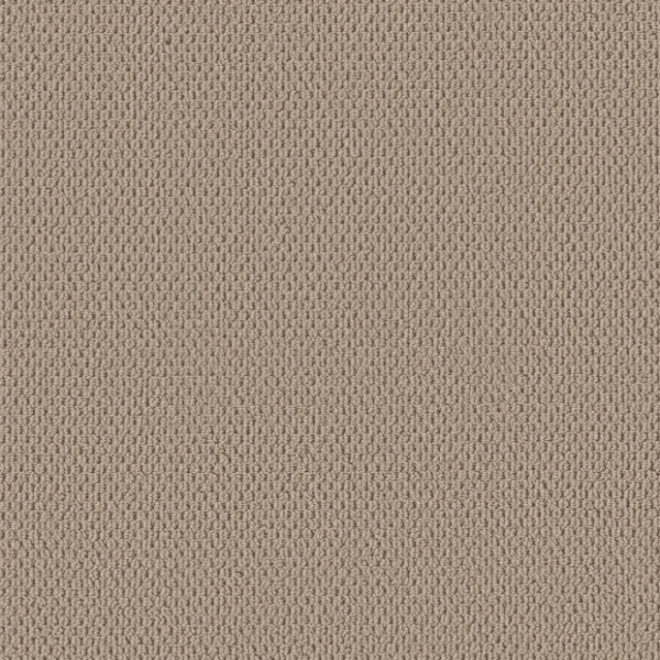 Shaw Floors Perspective Path Worn Path Collection