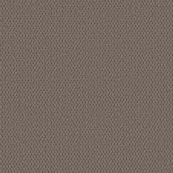 Shaw Floors Perspective Path Cappuccino Collection