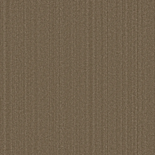 Shaw Floors Pet Perfect Serene Stria Acorn Collection