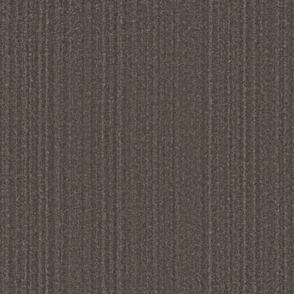 Shaw Floors Pet Perfect Serene Stria Tree Bark Collection