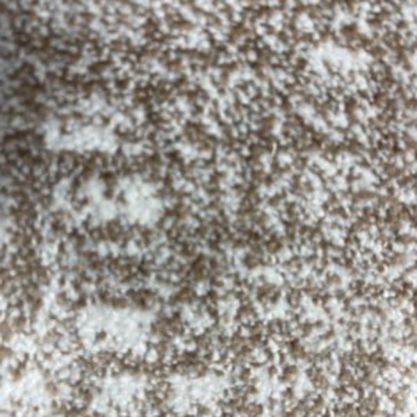 Revolution Mills Miney Canvas Collection