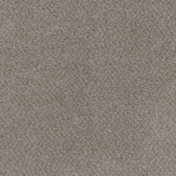 Dream Weaver Beach Club I Spanish Moss Collection