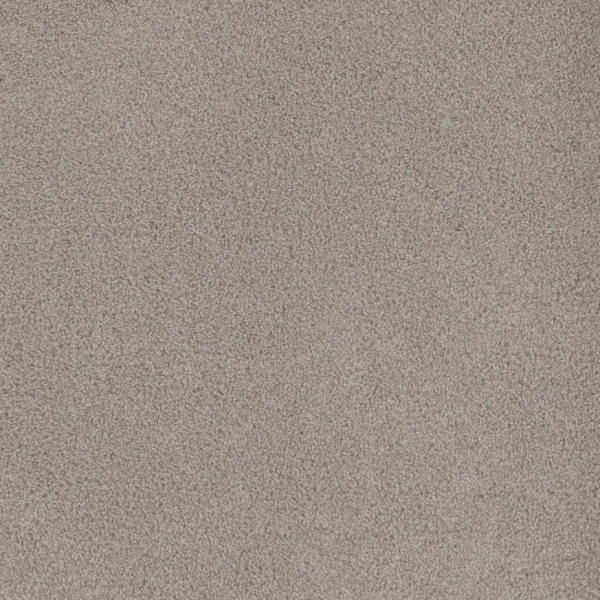 Dream Weaver Beach Club II Ivory Glow Collection