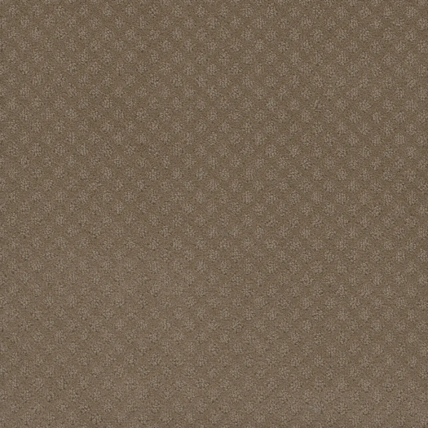 Dream Weaver Capri Deer Path Collection