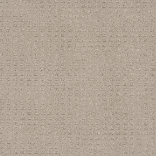 Dream Weaver Caspian Champagne Fizz Collection