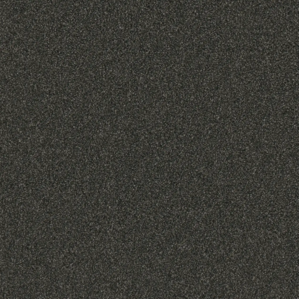 Dream Weaver Luxurious Lifestyle Fleck Onyx Collection