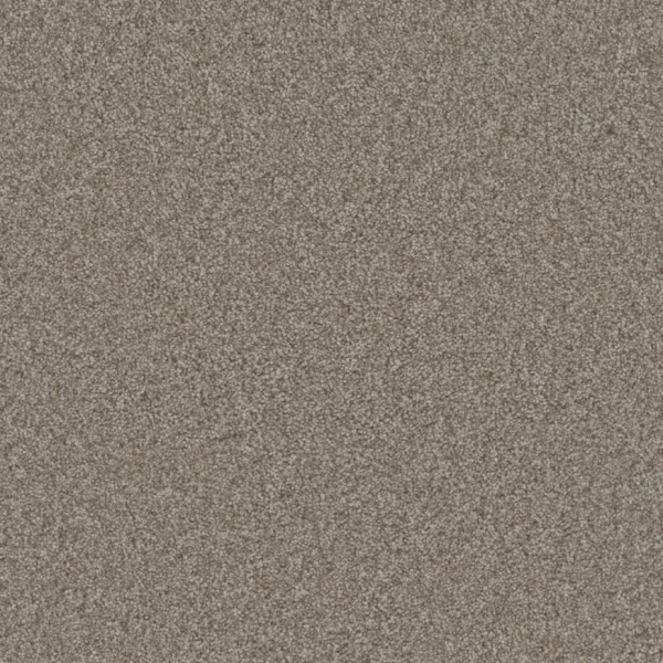 Dream Weaver Luxurious Lifestyle Fleck Alloy Collection