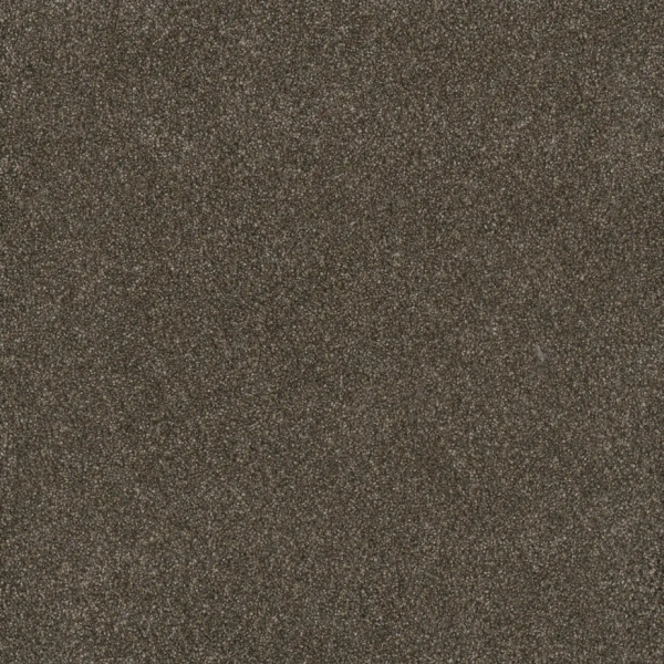 Dream Weaver Luxurious Lifestyle Fleck Ingot Collection