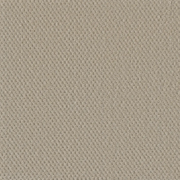 Dream Weaver Moon Bay Champagne Fizz Collection