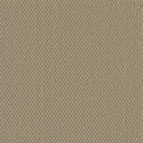 Dream Weaver Moon Bay Soft Pine Collection