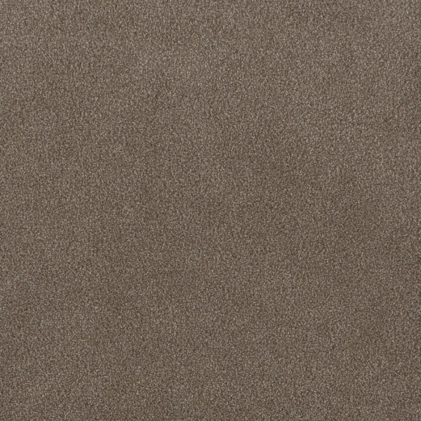 Dream Weaver Palmetto I Eagle Crest Collection