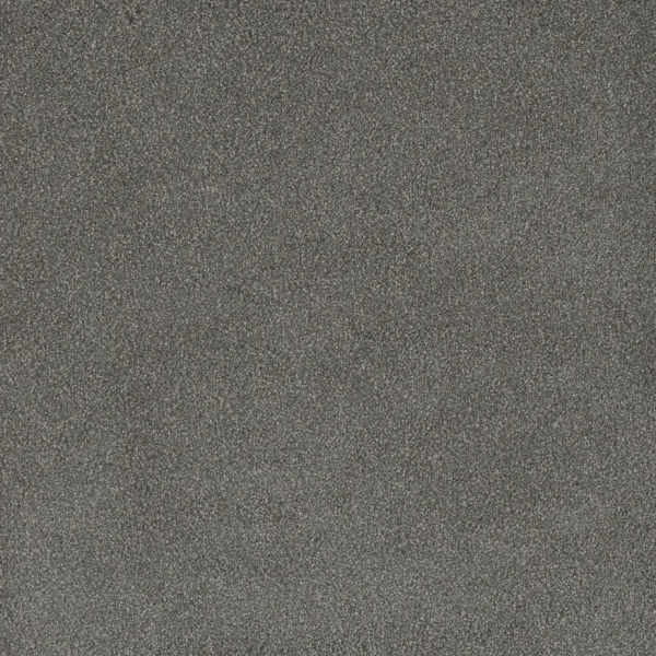 Dream Weaver Palmetto I Bay Leaf Collection
