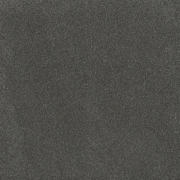 Dream Weaver Palmetto I Flint Collection