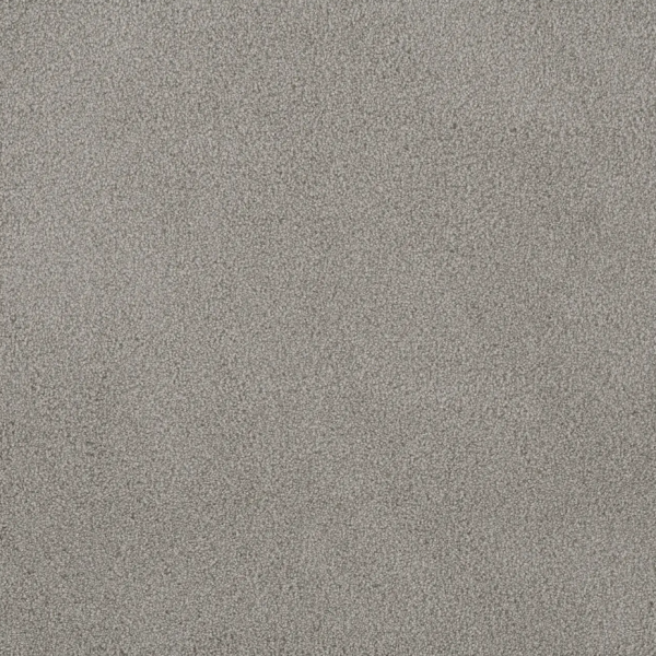 Dream Weaver Palmetto I Cascadia Collection