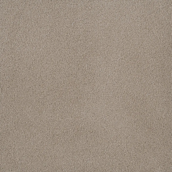 Dream Weaver Palmetto II Sun Washed Collection