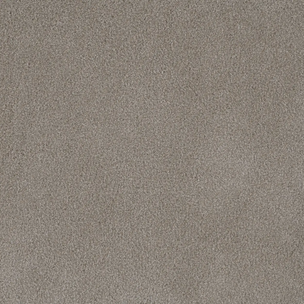Dream Weaver Palmetto II Havana Collection